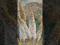 Foxtile lillies _ Эремурусы