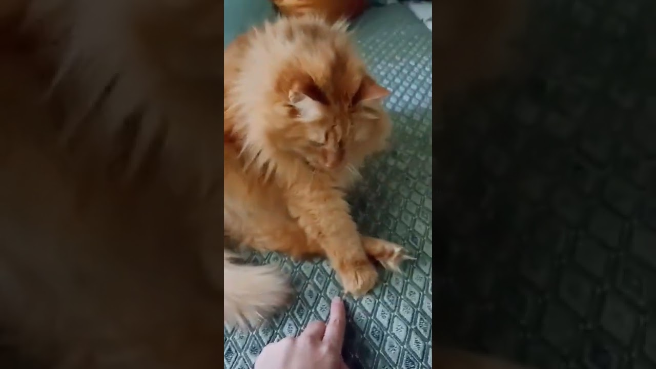 ������������