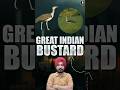 Project Great Indian Bustard Explained | Environment & Ecology