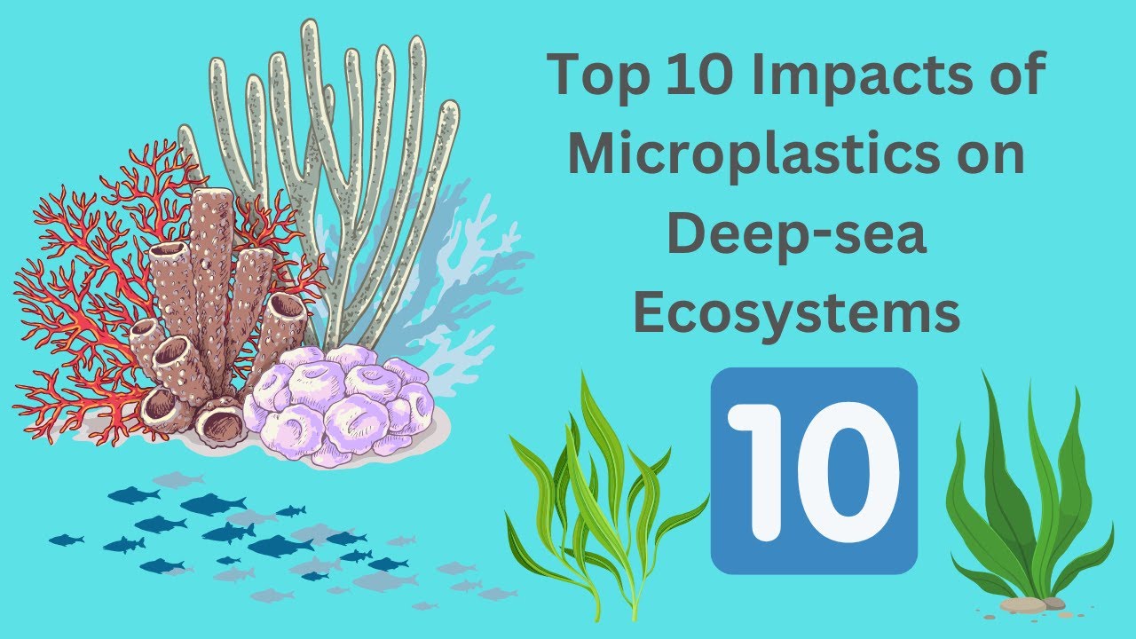Top Ten Impacts of Microplastics on Deepsea Ecosystems - YouTube