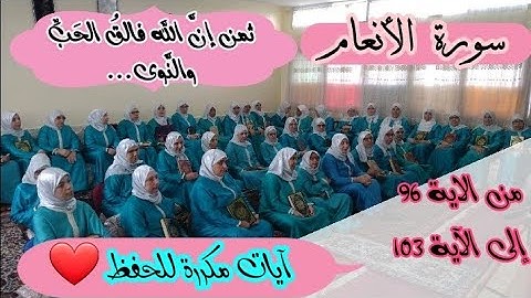 آيات مكررة للحفظ ❤️ ثمن《 إنَّ الله فالقُ الحَبِّ والنَّوى...》سورة الأنعام الحزب الرابع عشر