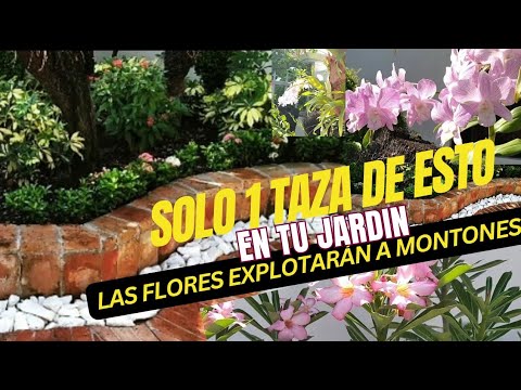 Video: Planting A Forever Garden: Elegir plantas de jardín para siempre