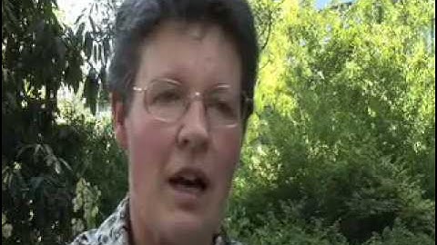 Jocelyn Bell Burnell