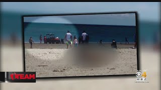 Saugus Woman Faces Animal Cruelty Charges After Dog Dies At Revere Beach