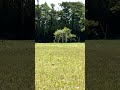校庭奥に佇むサッカーゴール