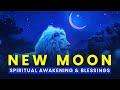 New Moon In LEO 2025 New Moon Meditation Music For Spiritual Awakening Divine Blessings New Moon In LEO 2025 New Moon Meditation Music For Spiritual Awakening Divine Blessings