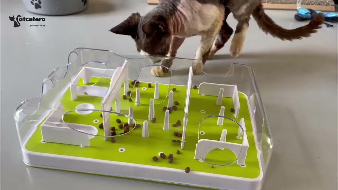 AFP INTERACTIVE CAT TREAT MAZE