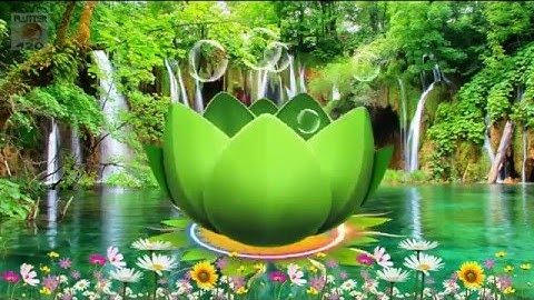 Proshow video editor beautiful Animated bubble style