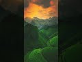 Nature’s Tricolor 🇮🇳 | Saffron Sky, White Clouds &amp; Green Mountains Drone View