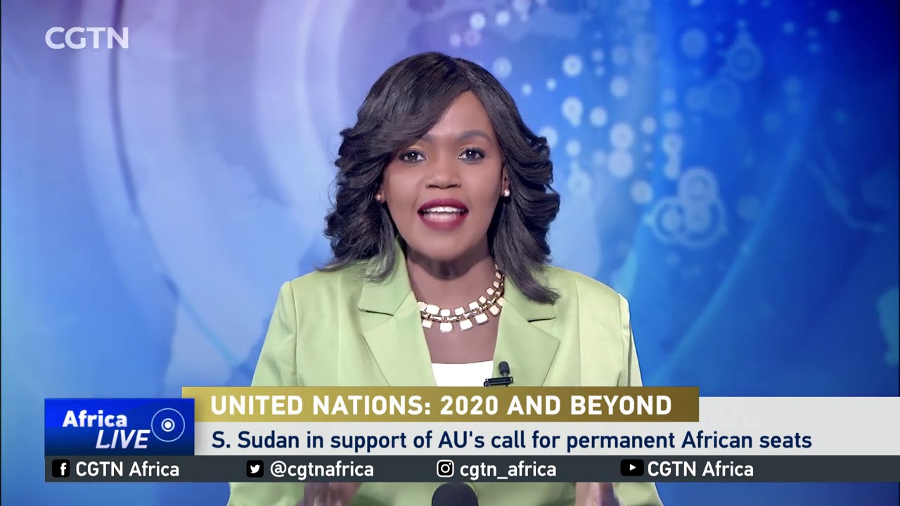 Africa seeks 2 permanent seats at the UN Security Council - YouTube