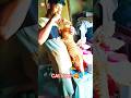 কে কে বিড়ালকে ভালোবাসেন #foryou #viralvideo #cat #like
