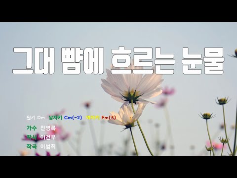 [은성 반주기] 그대뺨에흐르는눈물 - 전영록