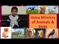 Mimicry of Animals and Birds By Atharva I Voice of Animals and birds I Fun Learning I LKG Activity