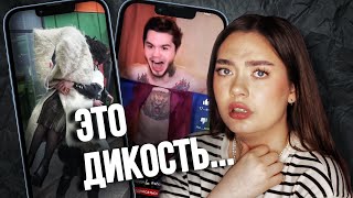 видео: У НИХ ЖУТКИЕ ОБЫЧАИ! КРАЖА НЕВЕСТ... ТикТок за гранью картинка: У НИХ ЖУТКИЕ ОБЫЧАИ! КРАЖА НЕВЕСТ... ТикТок за гранью