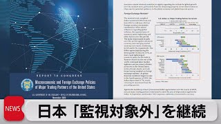 アメリカ為替報告書　日本「監視対象外」を継続（2023年11月8日）