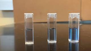 Famous Lauren Schechter UD Envision video, Summer 2023 Wealth