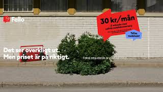 Dubbel Surf i 24 månader + 30 kr/mån i 3 månader
