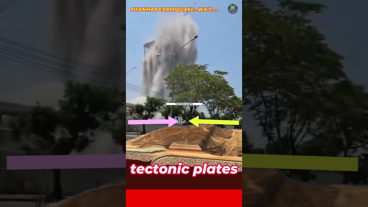 Myanmar earthquake building collapse | myanmar earthquake tectonic plates