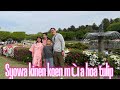 Syowa Kinen Koen Mùa Hoa Tulip 2026 