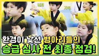 🐣귀여움 1000% 병아리 승급심사🐣 태권도 발차기~ 얍 !!! [병아리 하이킥] MBN 210613 방송