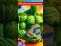 ভিডিও টা দেখেন অনেক কিছু শিখতে পারবেন #islamicvideo #loveislam #loveallah #youtubeshorts #shorts