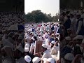 #madina রমনা ঢাকা আন্দোলন #madinekibaatein #malevoice #duet #nature #love #qari