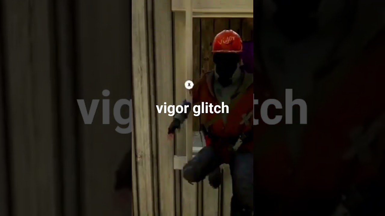 #vigorglitches
