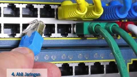 Karir Lulusan Program Sistem Informasi Universitas Bakrie