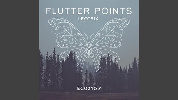 Flutter Points