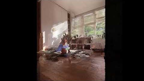 Animation & Rendering Enscape 2.8