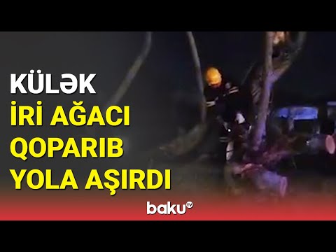 Qəbələdə güclü küləyə görə yol bağlandı, sakinlər çətinlikdə qaldı