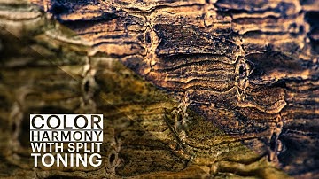 Creating Color Harmony with Split Toning