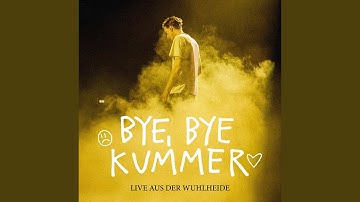 Thumbnail of Ein Song reicht (BLVTH Version) (Live aus der Wuhlheide)