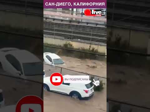 ПОТОП В КАЛИФОРНИИ #shorts #погода #шторм #зима #машина #авто #калифорния #сша #америка #тренды