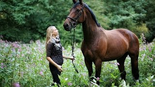 Forever Young - Rod Stewart (lyrics) HD