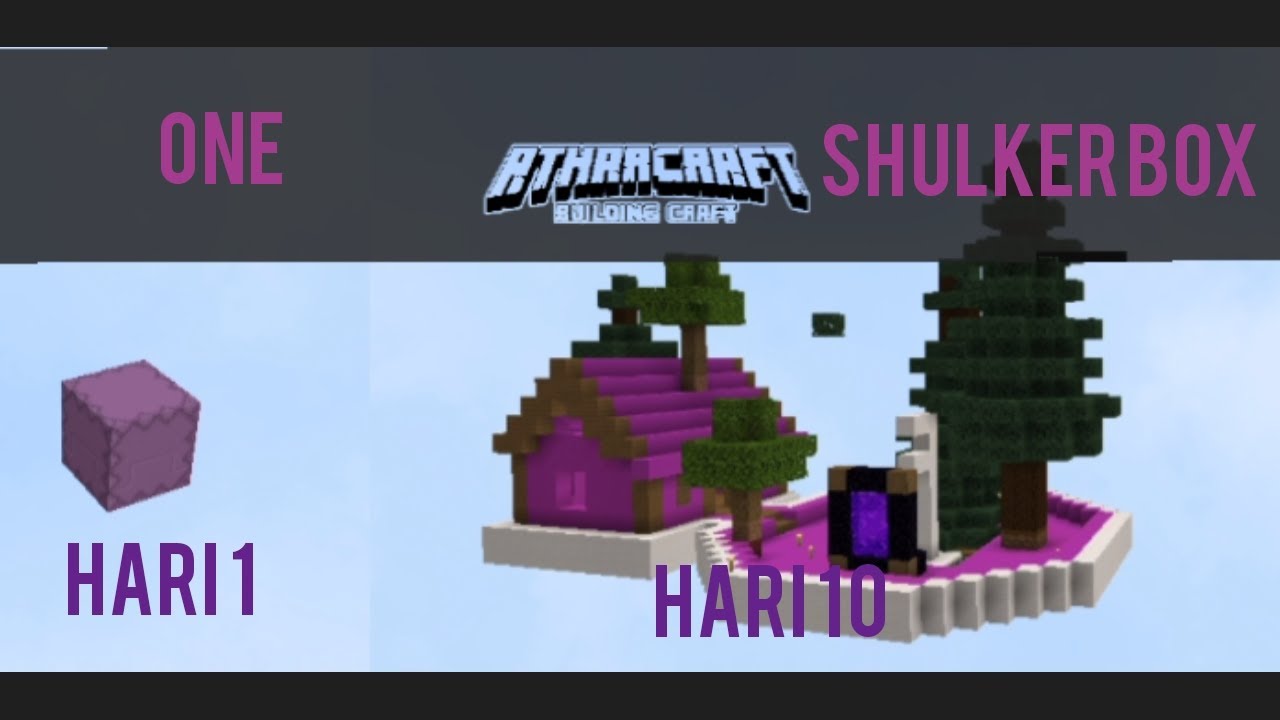 10 hari one shulker box 
