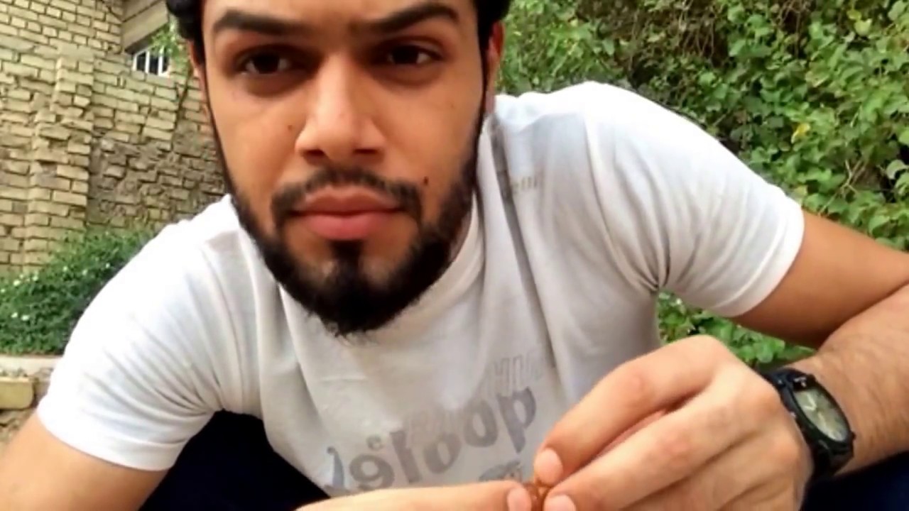 تحشيش عراقي للضايجين ابو العسل