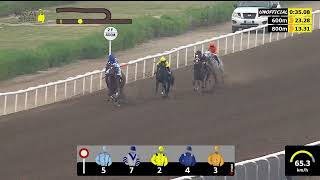 Vidéo de la course PMU PRIX AL WASL CLUB CUP