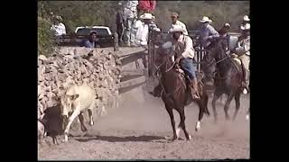 Santa Rosa 2010