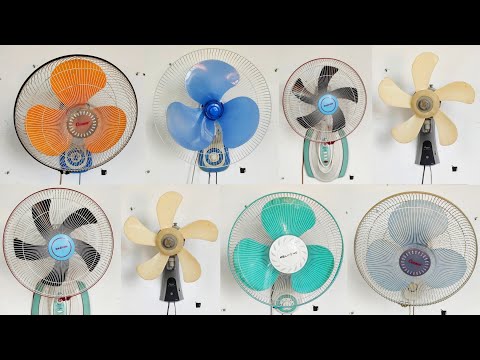Fan | Koleksi