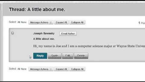 Blackboard 9.1.13: Reply to Thread within Discussion Board