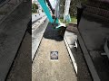Quality work 👏🇯🇵 #roadwork #asphaltpavement #paving #satisfying #construction