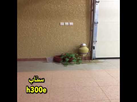 38 قصة مال البخيل ياكله العيار