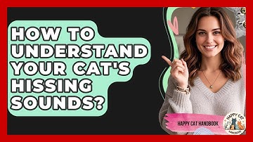 How To Understand Your Cat