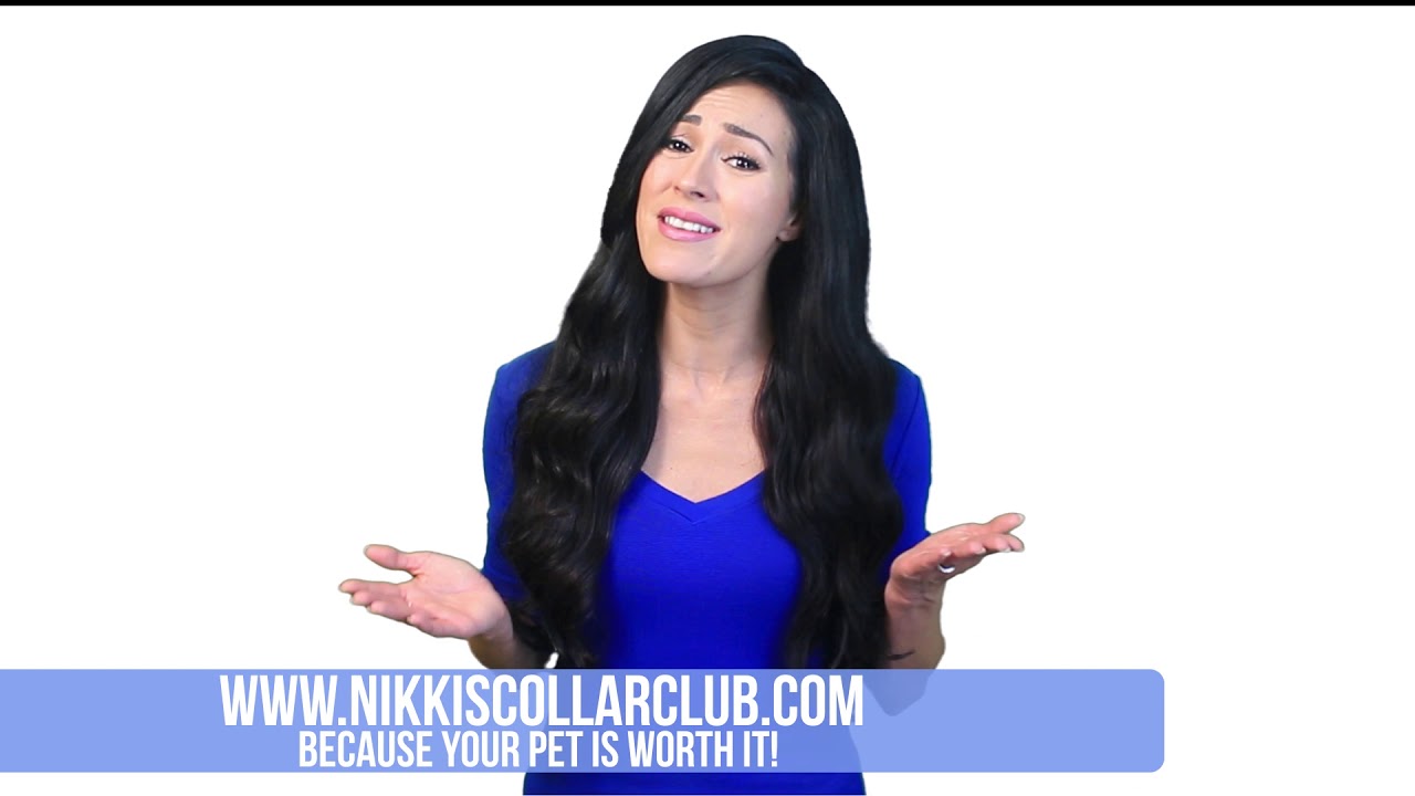 Welcome to Nikki's Collar Club!