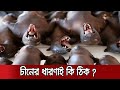 নোভেল করোনাভাইরাসের উৎপত্তি আসলে কোথায় ? | Origin of Novel Coronavirus