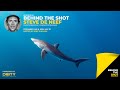 Behind the shot live 04 steve de neef on the philippines mafia island and mako shark campaign