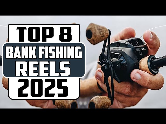 best reel for bank fishing I Tested 8 Best Baitcasting Reels for Bank Fishing in 2025 | The Results  Surprised Me
