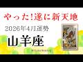 山羊座4月は新天地！運命が動く、人生が変わる。凄いです。2026年4月運勢仕事恋愛人間関係【癒しのタロット個人鑑定級】