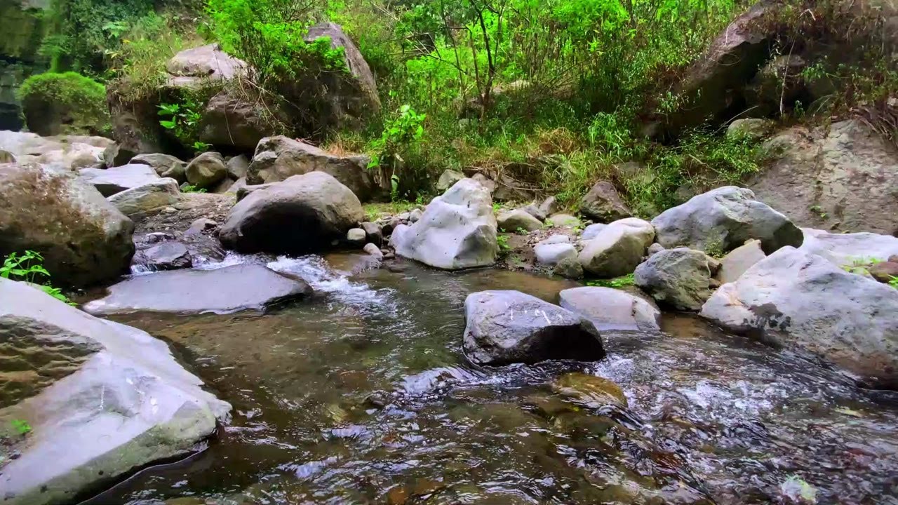 Gentle Water Sounds for Relaxed Awareness
